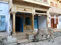 P1060040- - Rue de Jaisalmer